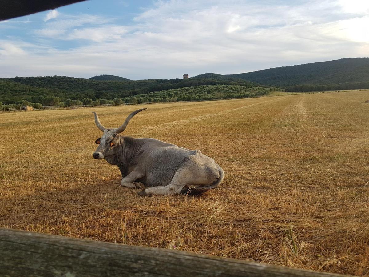 Tenuta Agricola Dell'Uccellina Talamone Eksteriør billede