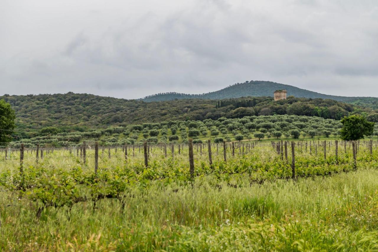 Tenuta Agricola Dell'Uccellina Talamone Eksteriør billede