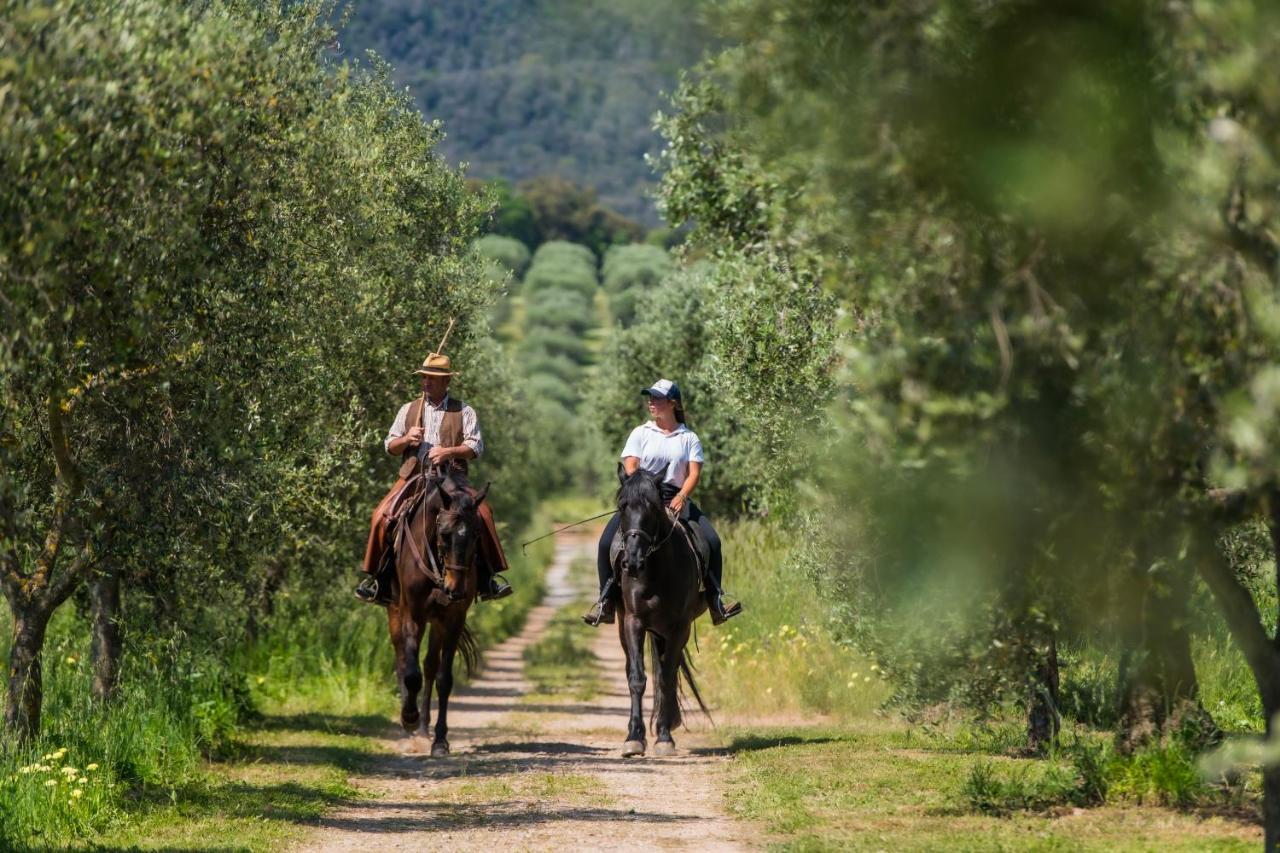 Tenuta Agricola Dell'Uccellina Talamone Eksteriør billede