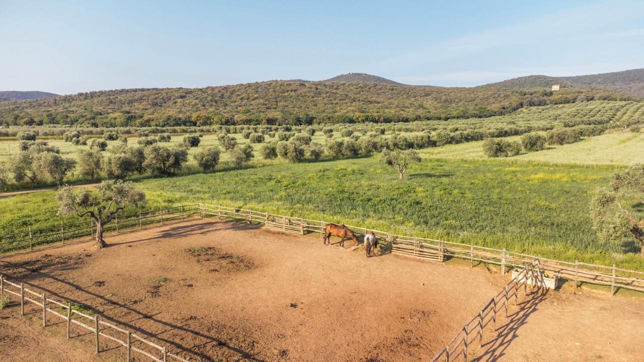 Tenuta Agricola Dell'Uccellina Talamone Eksteriør billede