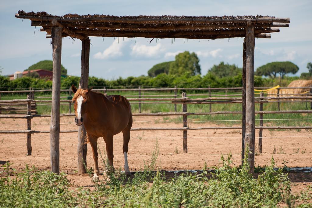 Tenuta Agricola Dell'Uccellina Talamone Eksteriør billede