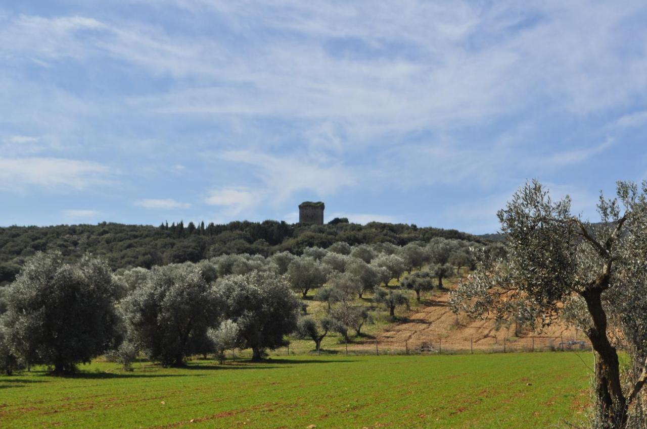 Tenuta Agricola Dell'Uccellina Talamone Eksteriør billede